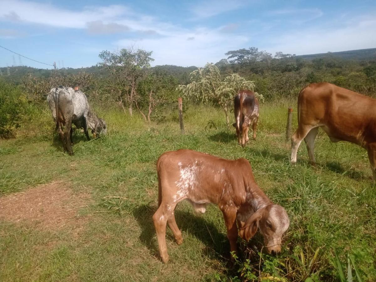 Chale Aconchegante, Pertinho Da Cidade E Conectada A Natureza Brasília Exterior foto